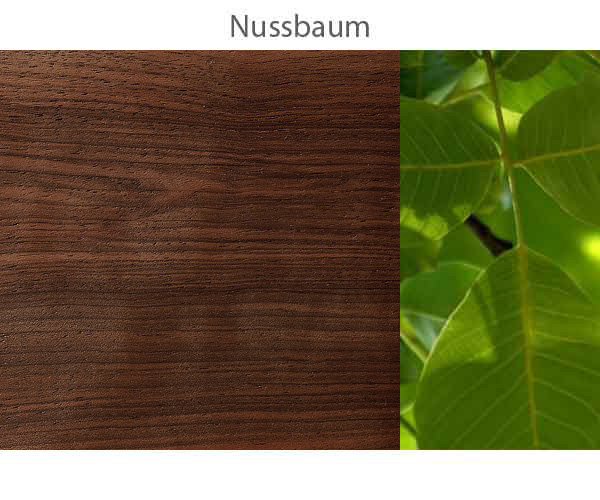 Nussbaum-.jpg
